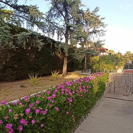 Villa Mary - Apartments ตรานิ ภายนอก รูปภาพ