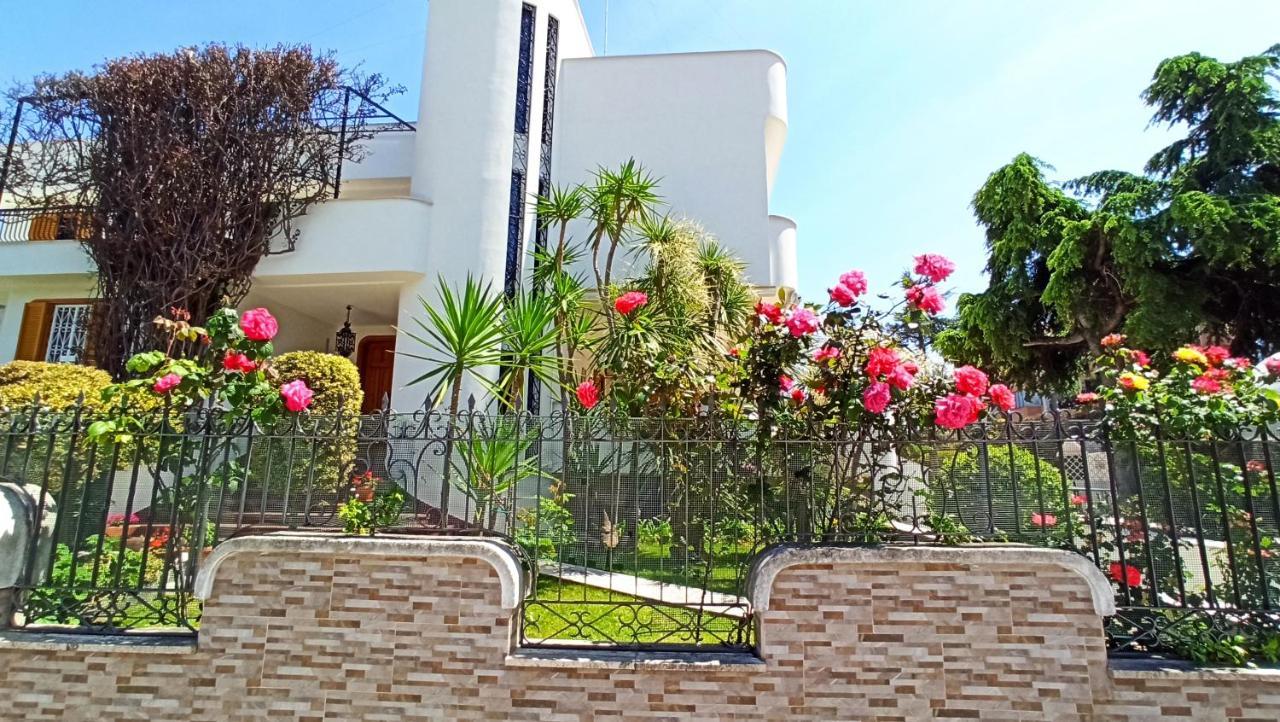 Villa Mary - Apartments ตรานิ ภายนอก รูปภาพ
