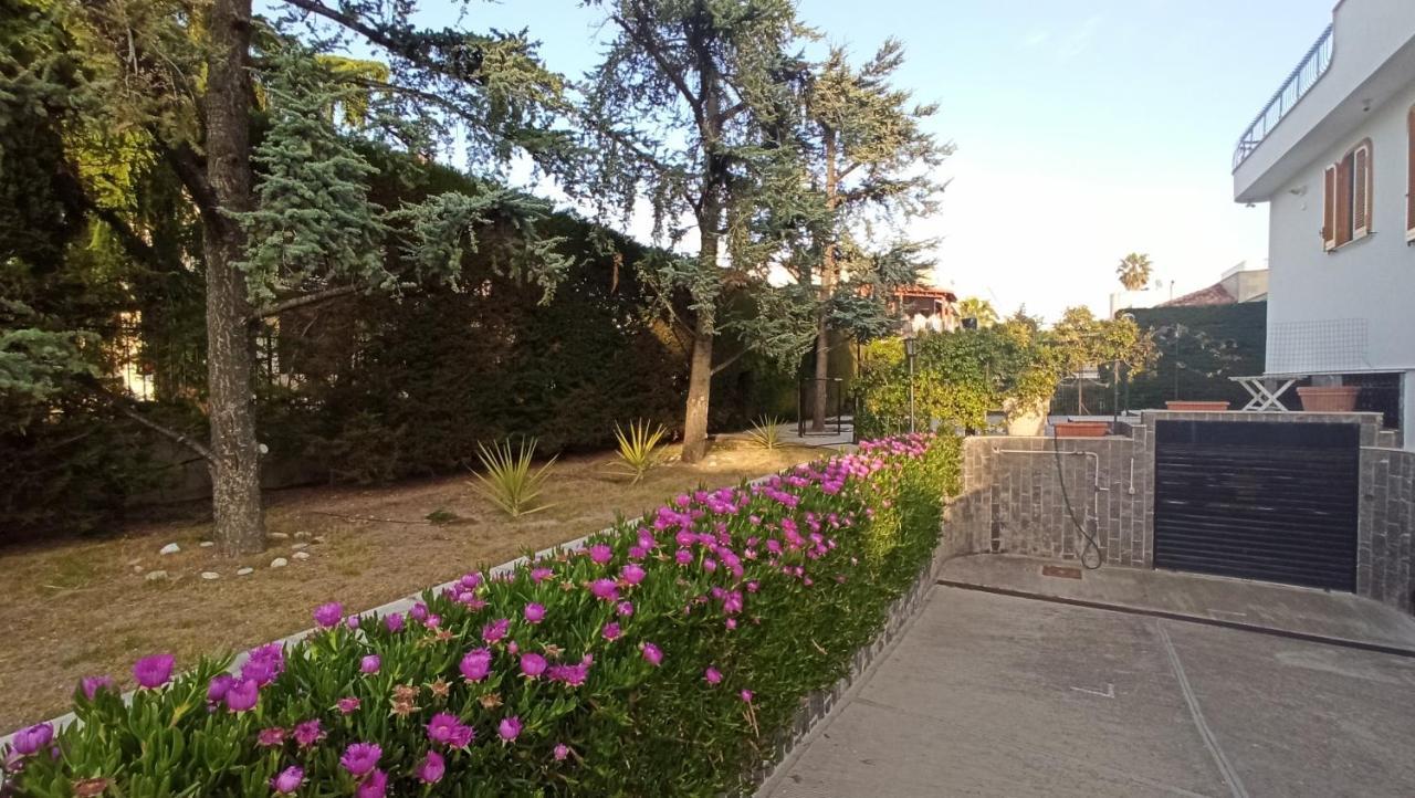 Villa Mary - Apartments ตรานิ ภายนอก รูปภาพ