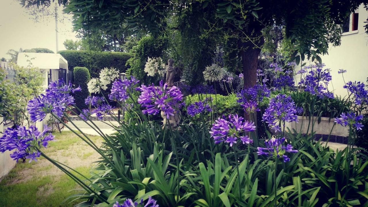 Villa Mary - Apartments ตรานิ ภายนอก รูปภาพ